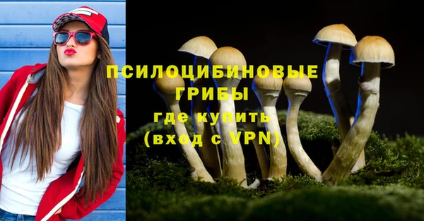 крисы Майский