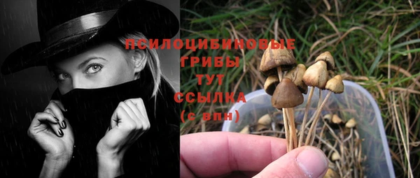 MDMA Premium VHQ Аркадак