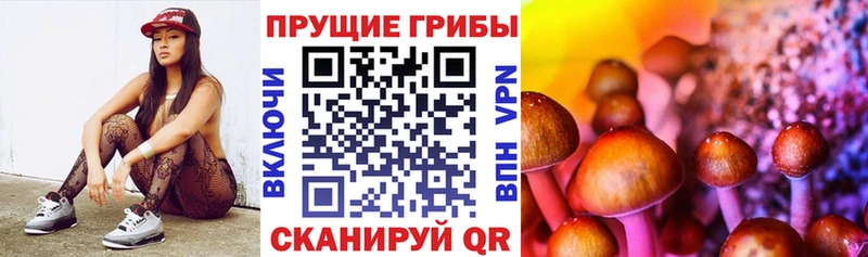 Псилоцибиновые грибы GOLDEN TEACHER  где найти наркотики  Нижняя Салда 